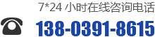 0391-3299600